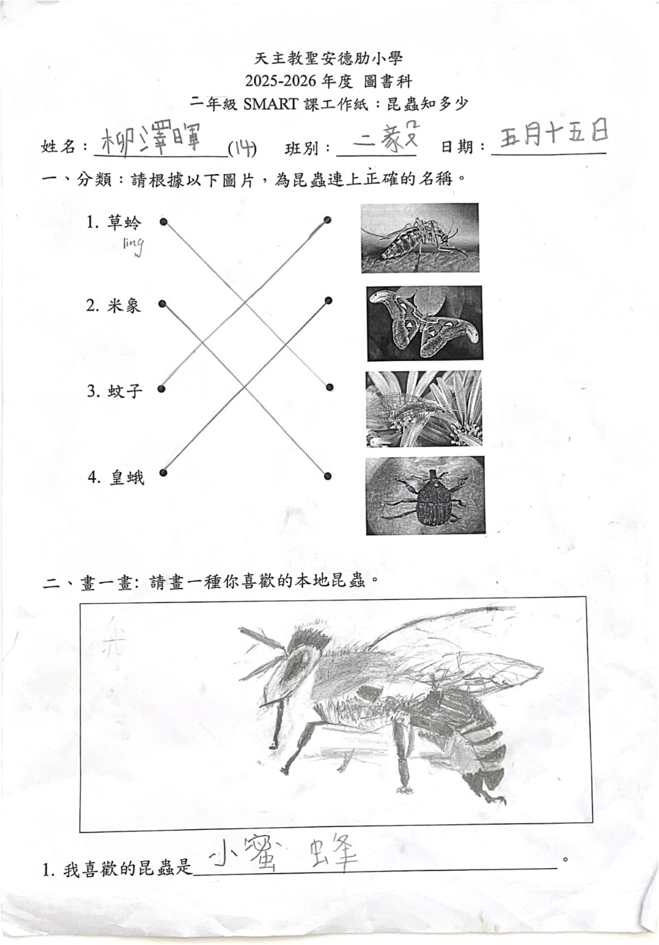 第11頁